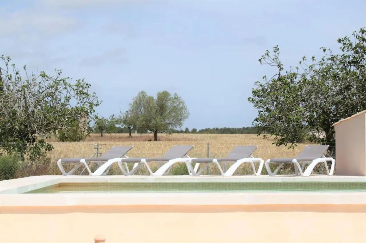 Secretari Villa Montuiri  Montuiri (Mallorca)